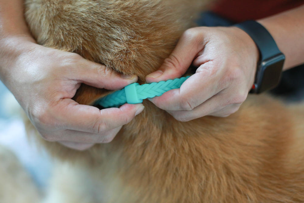 Solano舒活ECO-LIFE寵物防蚤驅蟲系列。犬用天然防蚤驅蟲頸圈、天然防蚤驅蟲滴劑、天然防蚤驅蟲噴劑、RELAX-SOL犬用情緒安撫頸圈 - 第11張圖 Solano舒活ECO-LIFE寵物防蚤驅蟲系列。犬用天然防蚤驅蟲頸圈、天然防蚤驅蟲滴劑、天然防蚤驅蟲噴劑、RELAX-SOL犬用情緒安撫頸圈