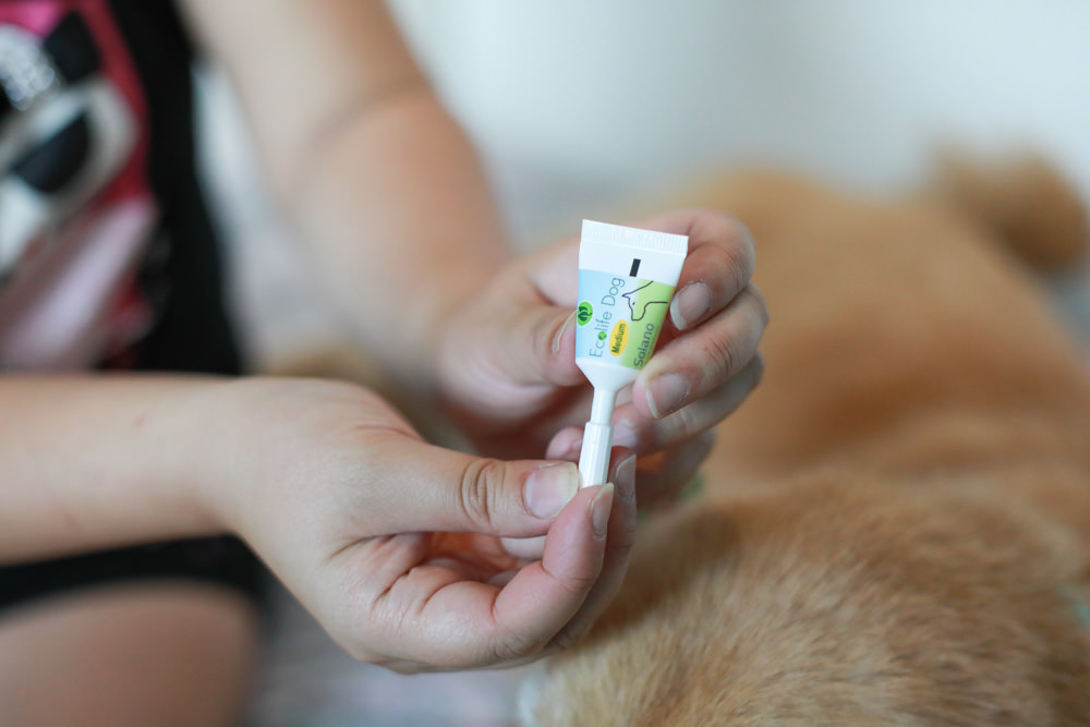 Solano舒活ECO-LIFE寵物防蚤驅蟲系列。犬用天然防蚤驅蟲頸圈、天然防蚤驅蟲滴劑、天然防蚤驅蟲噴劑、RELAX-SOL犬用情緒安撫頸圈 - 第16張圖 Solano舒活ECO-LIFE寵物防蚤驅蟲系列。犬用天然防蚤驅蟲頸圈、天然防蚤驅蟲滴劑、天然防蚤驅蟲噴劑、RELAX-SOL犬用情緒安撫頸圈