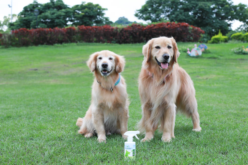 Solano舒活ECO-LIFE寵物防蚤驅蟲系列。犬用天然防蚤驅蟲頸圈、天然防蚤驅蟲滴劑、天然防蚤驅蟲噴劑、RELAX-SOL犬用情緒安撫頸圈 - 第18張圖 Solano舒活ECO-LIFE寵物防蚤驅蟲系列。犬用天然防蚤驅蟲頸圈、天然防蚤驅蟲滴劑、天然防蚤驅蟲噴劑、RELAX-SOL犬用情緒安撫頸圈