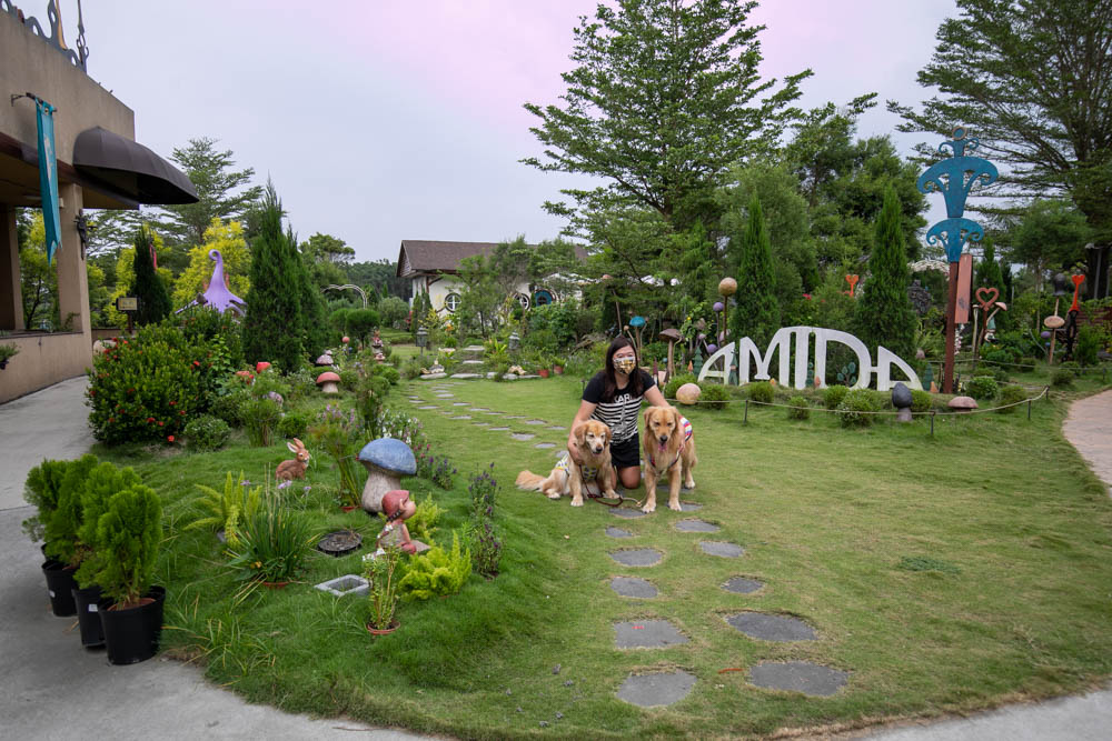 屏東景點|AMIDA艾米達精靈谷茶樹莊園。寵物友善景點、墾丁順遊景點、走進魔法精靈的奇幻世界! - 第38張圖 屏東景點|AMIDA艾米達精靈谷茶樹莊園。寵物友善景點、墾丁順遊景點、走進魔法精靈的奇幻世界!