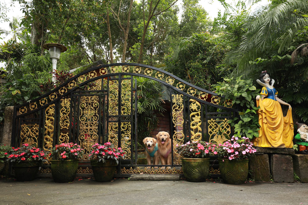宜蘭冬山民宿｜芯園我的夢中城堡。歐洲童話風情溜滑梯民宿、寵物友善民宿、童話故事城堡民宿