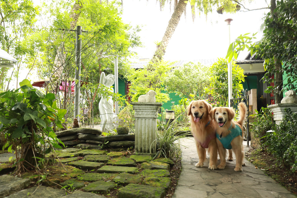 宜蘭冬山民宿｜芯園我的夢中城堡。歐洲童話風情溜滑梯民宿、寵物友善民宿、童話故事城堡民宿