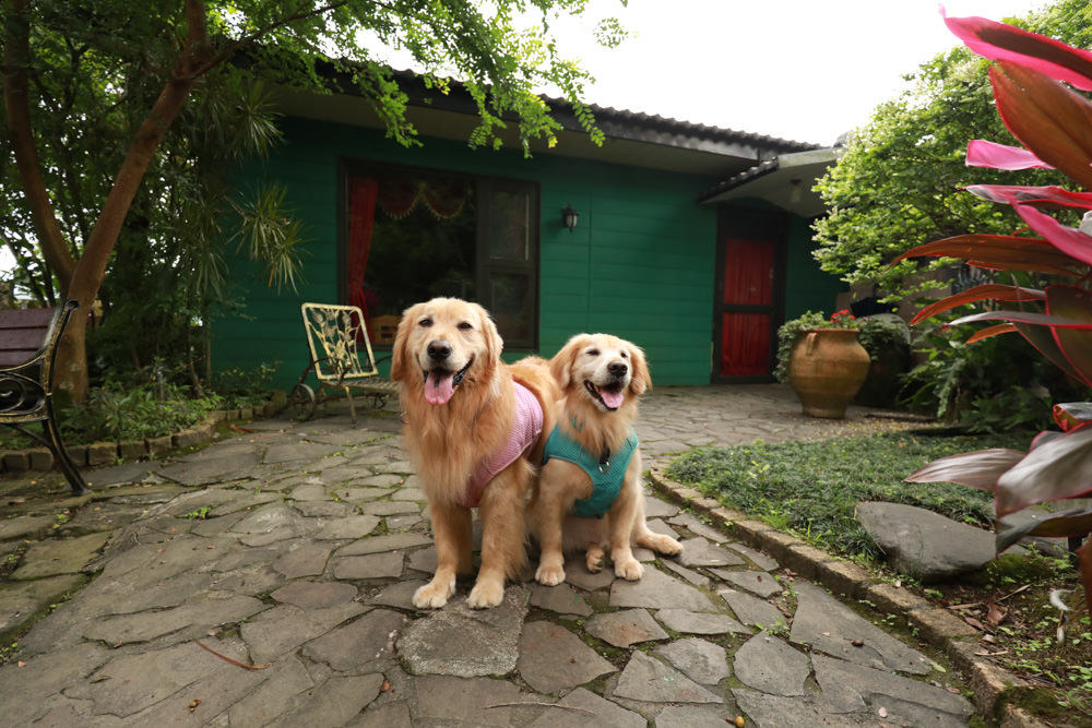 宜蘭冬山民宿｜芯園我的夢中城堡。歐洲童話風情溜滑梯民宿、寵物友善民宿、童話故事城堡民宿