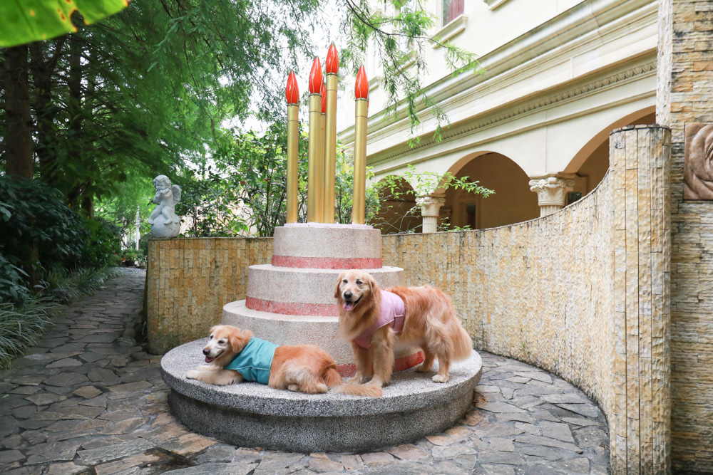 宜蘭冬山民宿｜芯園我的夢中城堡。歐洲童話風情溜滑梯民宿、寵物友善民宿、童話故事城堡民宿