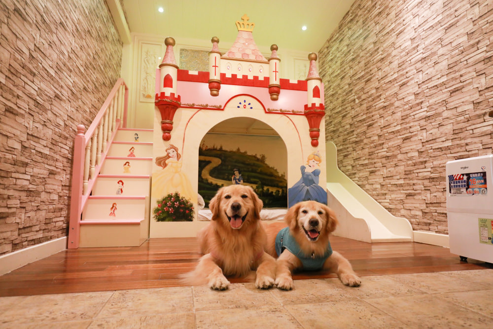 宜蘭冬山民宿｜芯園我的夢中城堡。歐洲童話風情溜滑梯民宿、寵物友善民宿、童話故事城堡民宿