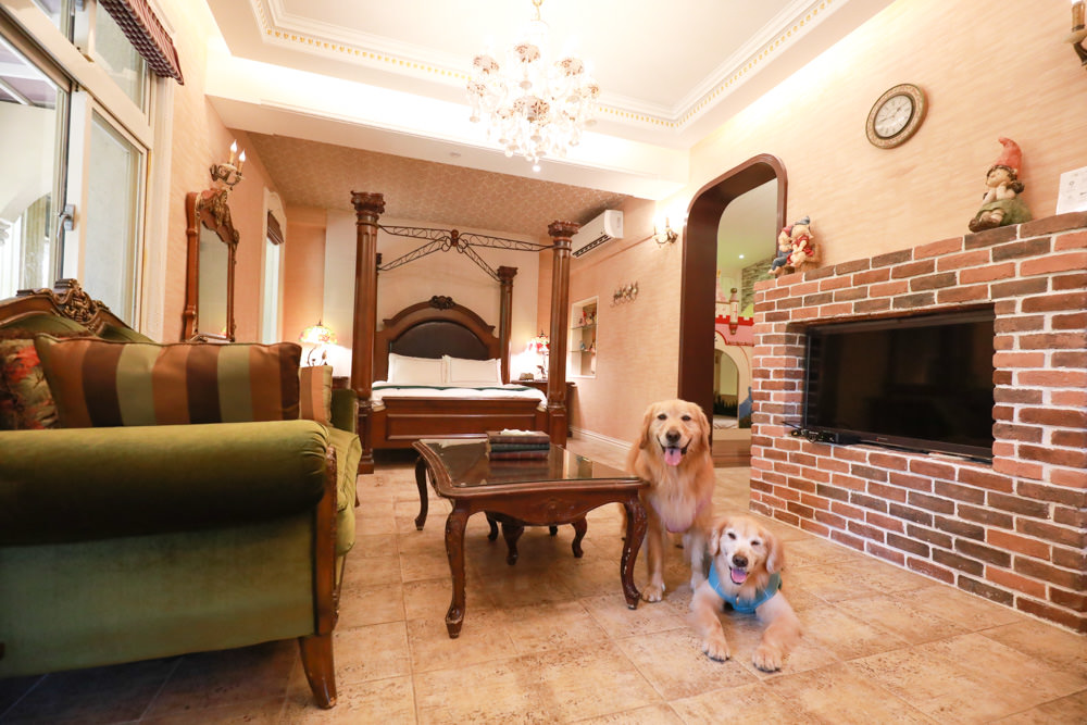 宜蘭冬山民宿｜芯園我的夢中城堡。歐洲童話風情溜滑梯民宿、寵物友善民宿、童話故事城堡民宿