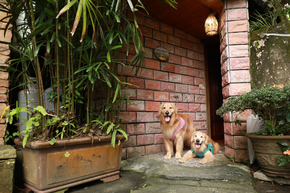 宜蘭冬山民宿｜芯園我的夢中城堡。歐洲童話風情溜滑梯民宿、寵物友善民宿、童話故事城堡民宿