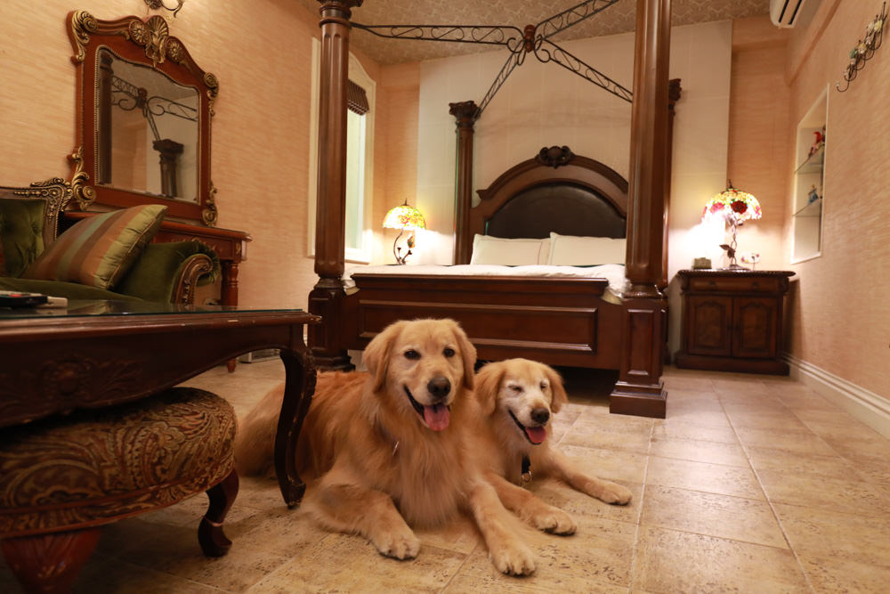 宜蘭冬山民宿｜芯園我的夢中城堡。歐洲童話風情溜滑梯民宿、寵物友善民宿、童話故事城堡民宿