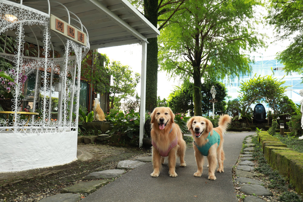 宜蘭冬山民宿｜芯園我的夢中城堡。歐洲童話風情溜滑梯民宿、寵物友善民宿、童話故事城堡民宿