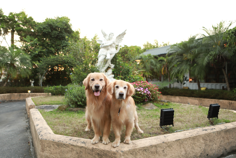 宜蘭冬山民宿｜芯園我的夢中城堡。歐洲童話風情溜滑梯民宿、寵物友善民宿、童話故事城堡民宿