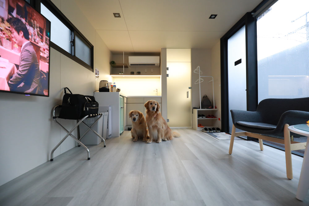 南投埔里｜享想旅宿 REVEL VILLA 。南投寵物友善民宿、溫馨舒適的美式現代風建築、綠意盎然大草皮