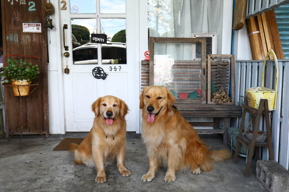 花蓮鳳林美食|鄉村小屋2。鄉村風日系雜貨、輕食簡餐、飲料無限暢飲、寵物友善餐廳 - 第1張圖 花蓮鳳林美食|鄉村小屋2。鄉村風日系雜貨、輕食簡餐、飲料無限暢飲、寵物友善餐廳