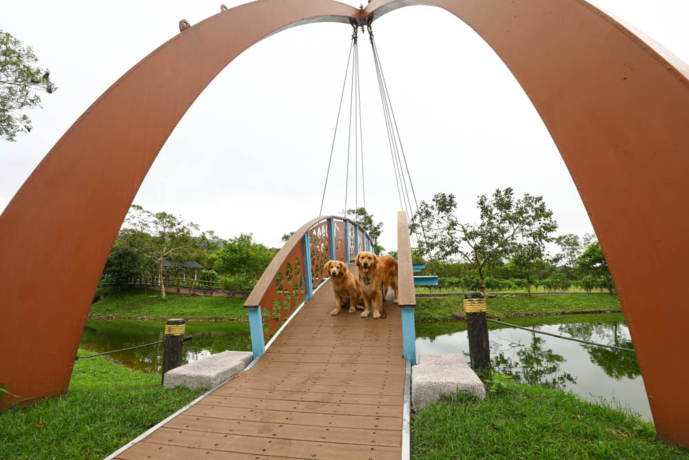 花蓮瑞穗景點｜富興社區森林小火車。搭乘鳳梨小火車認識鳳梨公園、全台最大鳳梨田、寵物友善景點