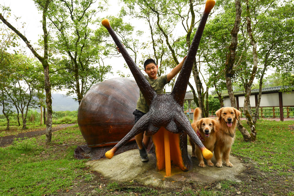 花蓮瑞穗景點｜富興社區森林小火車。搭乘鳳梨小火車認識鳳梨公園、全台最大鳳梨田、寵物友善景點