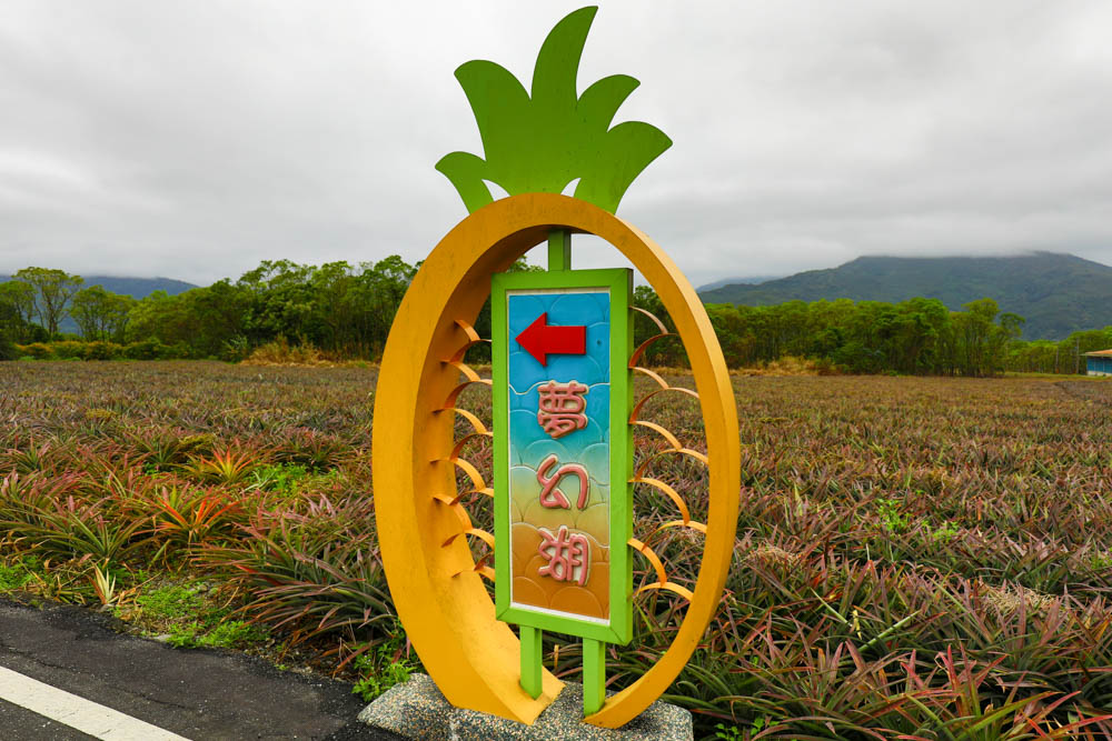 花蓮瑞穗景點｜富興社區森林小火車。搭乘鳳梨小火車認識鳳梨公園、全台最大鳳梨田、寵物友善景點