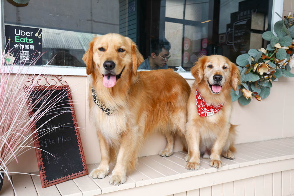 花蓮美食｜瑞樂絲Relax複合式餐飲 。早午晚餐、炒泡麵、火鍋、漢堡、寵物友善餐廳