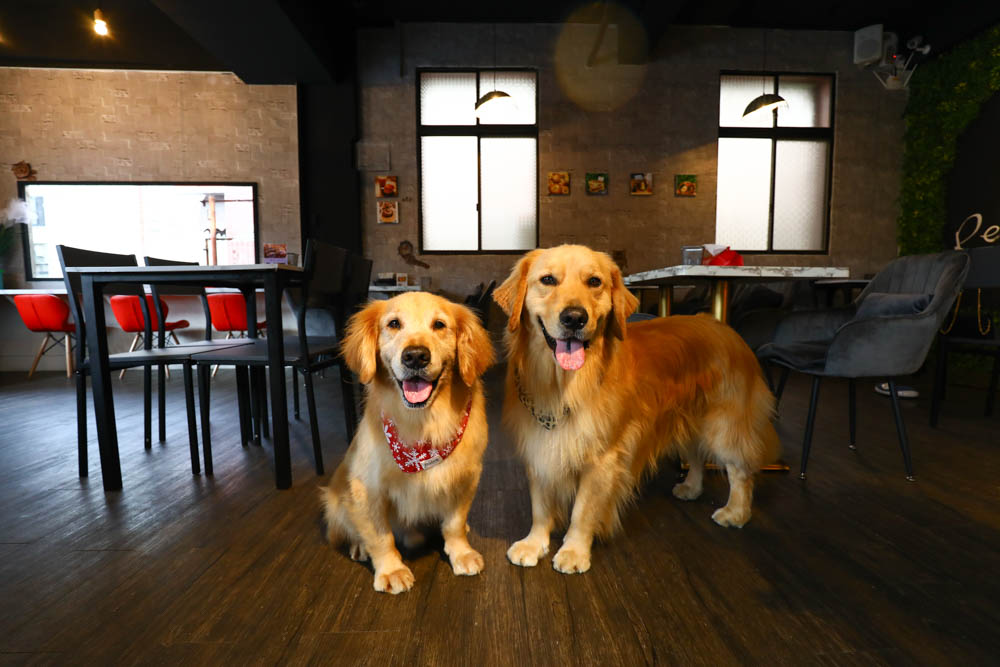花蓮美食｜瑞樂絲Relax複合式餐飲 。早午晚餐、炒泡麵、火鍋、漢堡、寵物友善餐廳