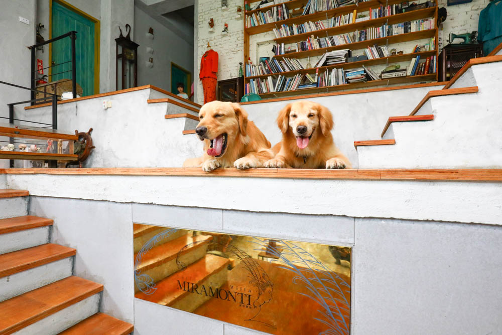 花蓮壽豐絕美民宿|米拉夢地Miramonti House 。彷彿置身歐洲義大利牧場莊園、寵物友善親子民宿 - 第22張圖 花蓮壽豐絕美民宿|米拉夢地Miramonti House 。彷彿置身歐洲義大利牧場莊園、寵物友善親子民宿