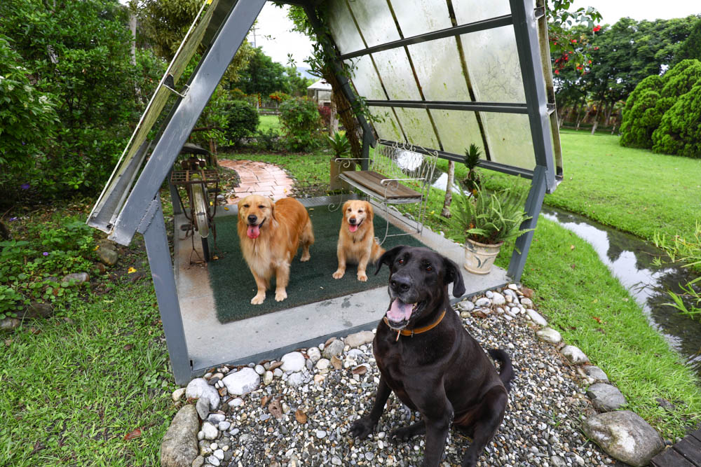 花蓮壽豐絕美民宿|米拉夢地Miramonti House 。彷彿置身歐洲義大利牧場莊園、寵物友善親子民宿 - 第45張圖 花蓮壽豐絕美民宿|米拉夢地Miramonti House 。彷彿置身歐洲義大利牧場莊園、寵物友善親子民宿