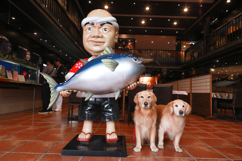 花蓮美食｜賴桑壽司屋。讓人歎為觀止的無菜單料理、寵物友善餐廳、寬敞舒適包廂、生猛海鮮、日本料理