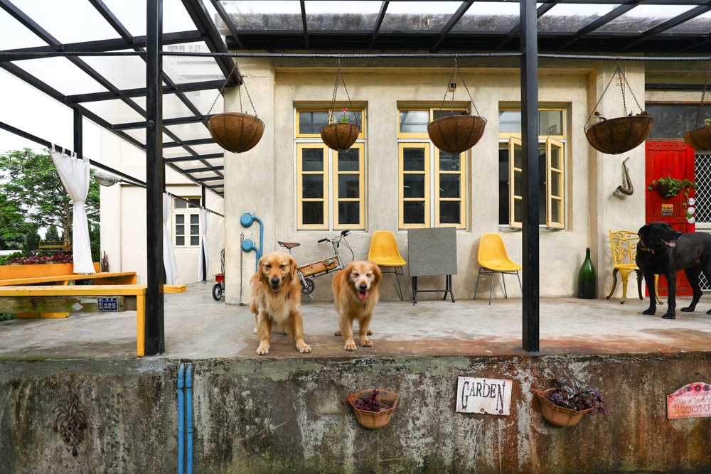 花蓮壽豐絕美民宿|米拉夢地Miramonti House 。彷彿置身歐洲義大利牧場莊園、寵物友善親子民宿 - 第13張圖 花蓮壽豐絕美民宿|米拉夢地Miramonti House 。彷彿置身歐洲義大利牧場莊園、寵物友善親子民宿