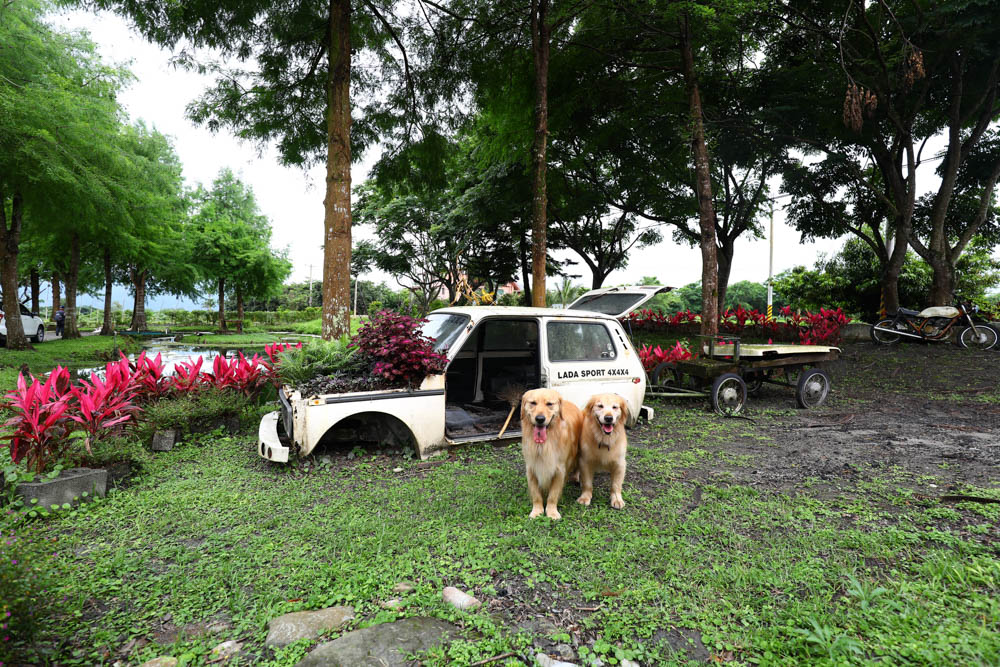 花蓮壽豐絕美民宿|米拉夢地Miramonti House 。彷彿置身歐洲義大利牧場莊園、寵物友善親子民宿 - 第6張圖 花蓮壽豐絕美民宿|米拉夢地Miramonti House 。彷彿置身歐洲義大利牧場莊園、寵物友善親子民宿