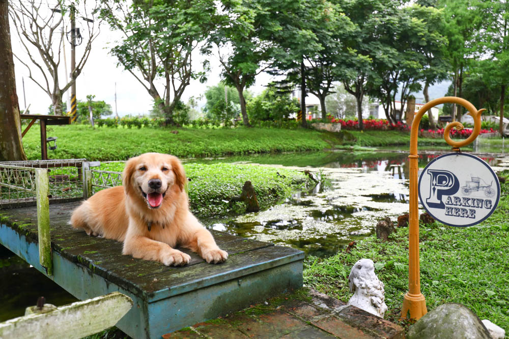 花蓮壽豐絕美民宿|米拉夢地Miramonti House 。彷彿置身歐洲義大利牧場莊園、寵物友善親子民宿 - 第4張圖 花蓮壽豐絕美民宿|米拉夢地Miramonti House 。彷彿置身歐洲義大利牧場莊園、寵物友善親子民宿