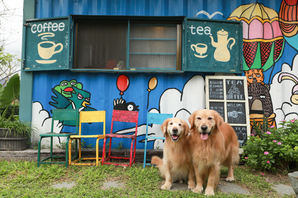 花蓮壽豐景點｜花田小路。貨櫃咖啡屋融合玫瑰花田的風格小店、寵物友善餐廳、銅板價就可以享受採玫瑰花的樂趣！！