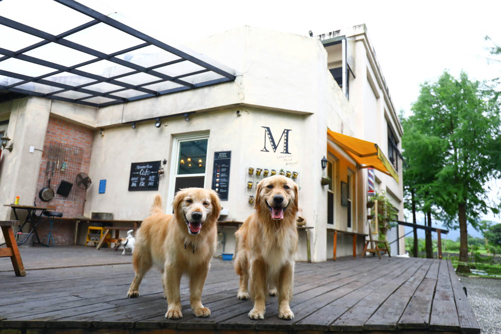 花蓮壽豐絕美民宿|米拉夢地Miramonti House 。彷彿置身歐洲義大利牧場莊園、寵物友善親子民宿 - 第12張圖 花蓮壽豐絕美民宿|米拉夢地Miramonti House 。彷彿置身歐洲義大利牧場莊園、寵物友善親子民宿