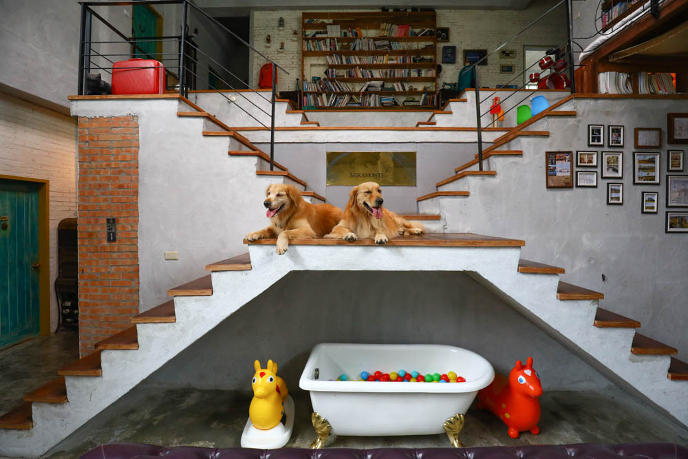 花蓮壽豐絕美民宿|米拉夢地Miramonti House 。彷彿置身歐洲義大利牧場莊園、寵物友善親子民宿 - 第20張圖 花蓮壽豐絕美民宿|米拉夢地Miramonti House 。彷彿置身歐洲義大利牧場莊園、寵物友善親子民宿