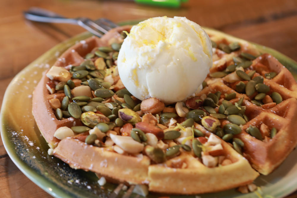 花蓮壽豐景點｜花田小路。貨櫃咖啡屋融合玫瑰花田的風格小店、寵物友善餐廳、銅板價就可以享受採玫瑰花的樂趣！！