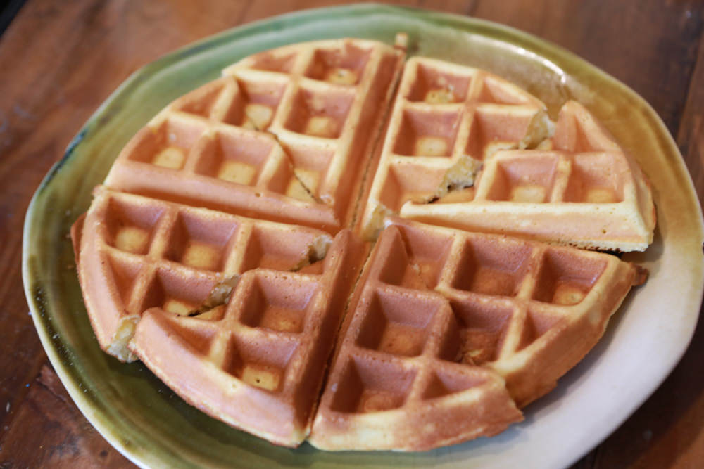 花蓮壽豐景點｜花田小路。貨櫃咖啡屋融合玫瑰花田的風格小店、寵物友善餐廳、銅板價就可以享受採玫瑰花的樂趣！！