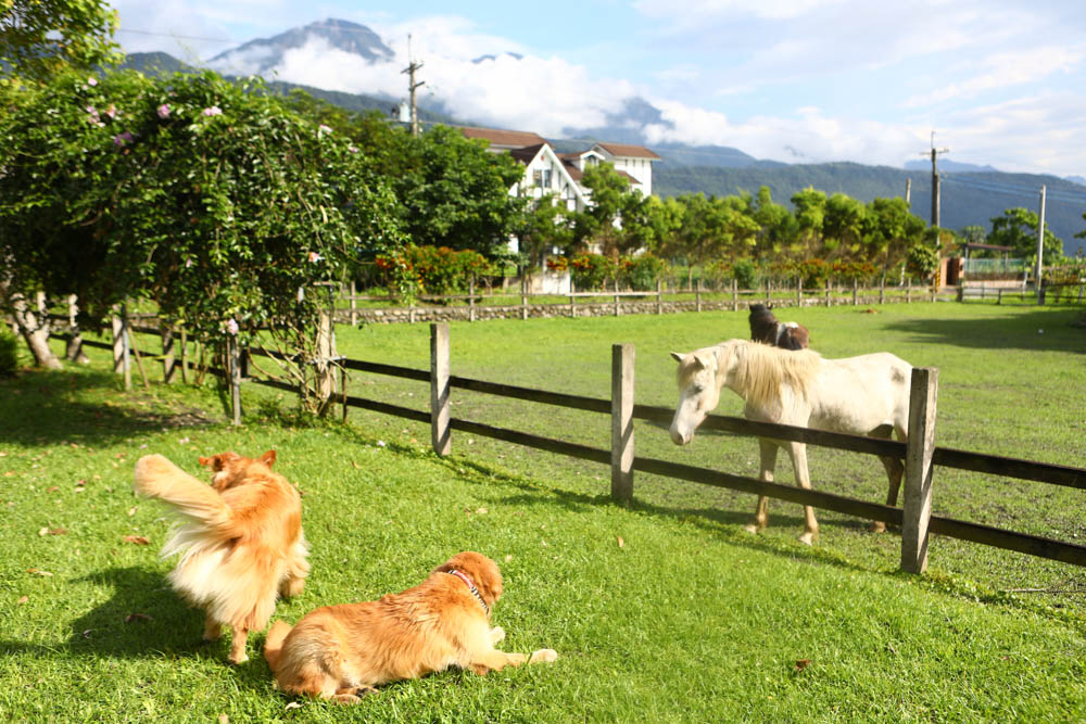花蓮壽豐絕美民宿|米拉夢地Miramonti House 。彷彿置身歐洲義大利牧場莊園、寵物友善親子民宿 - 第55張圖 花蓮壽豐絕美民宿|米拉夢地Miramonti House 。彷彿置身歐洲義大利牧場莊園、寵物友善親子民宿