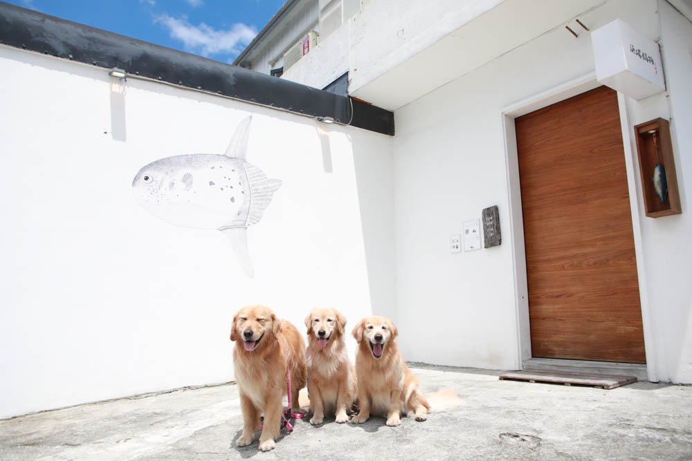 花蓮美食｜漁場鍋物三代目。花蓮縣新城鄉東昌定置漁場旁、當日現撈新鮮漁貨、花蓮寵物友善餐廳