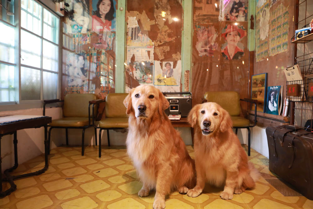 花蓮美食｜平行時空小茶室。老屋咖啡廳、花蓮寵物友善餐廳、復古泡沫紅茶茶舖、懷舊簡餐料理