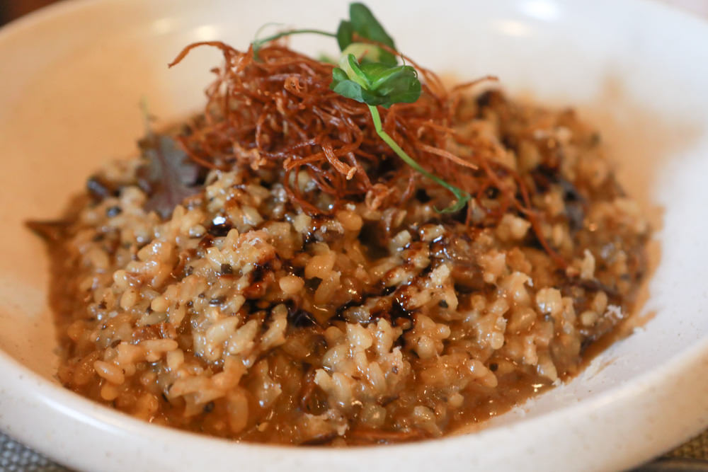 苗栗苑裡美食｜沐暉苑食The Afterglow。寵物友善餐廳、創意西式私廚料理、三合院老宅餐廳