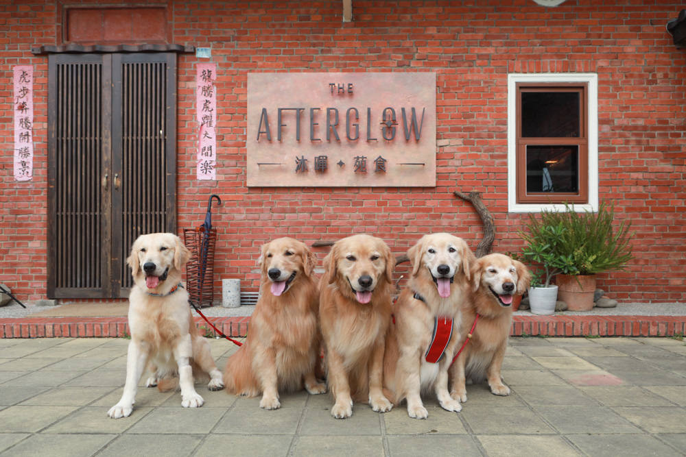 苗栗苑裡美食｜沐暉苑食The Afterglow。寵物友善餐廳、創意西式私廚料理、三合院老宅餐廳