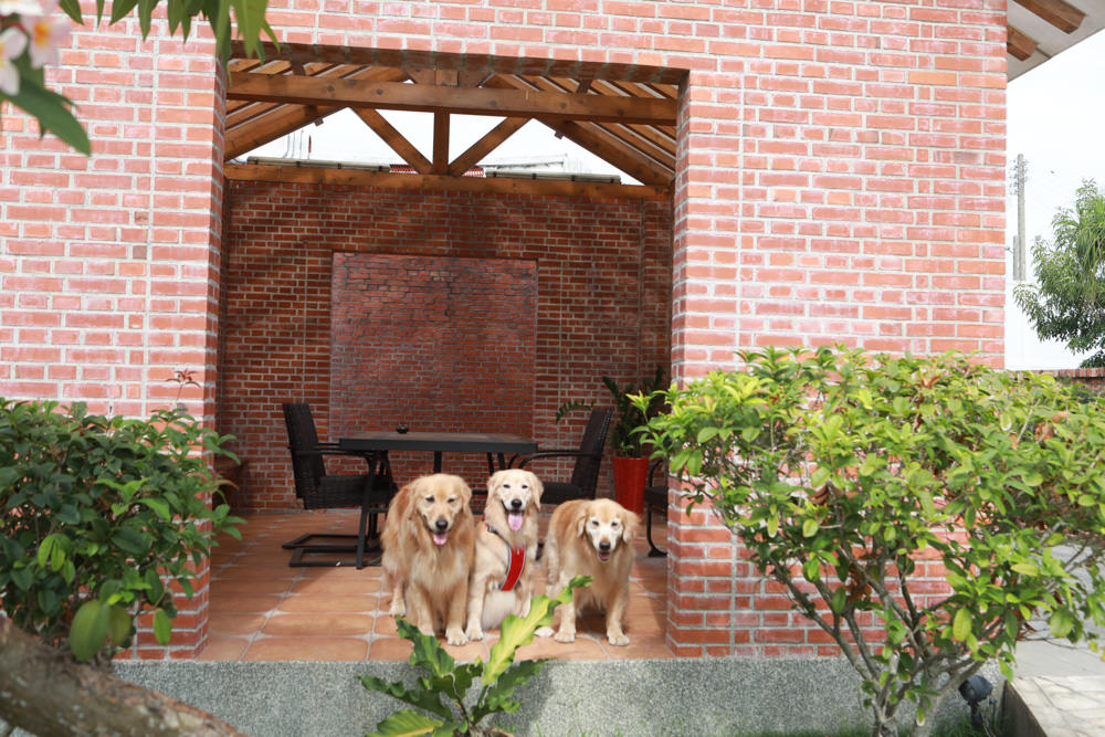 苗栗苑裡美食｜沐暉苑食The Afterglow。寵物友善餐廳、創意西式私廚料理、三合院老宅餐廳