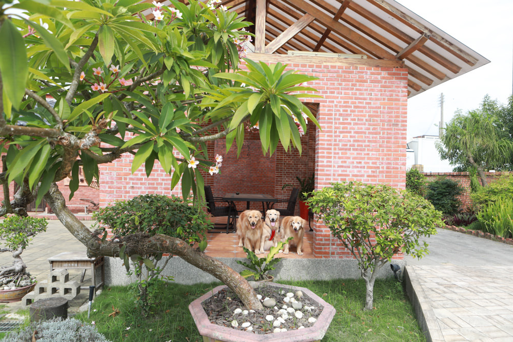 苗栗苑裡美食｜沐暉苑食The Afterglow。寵物友善餐廳、創意西式私廚料理、三合院老宅餐廳