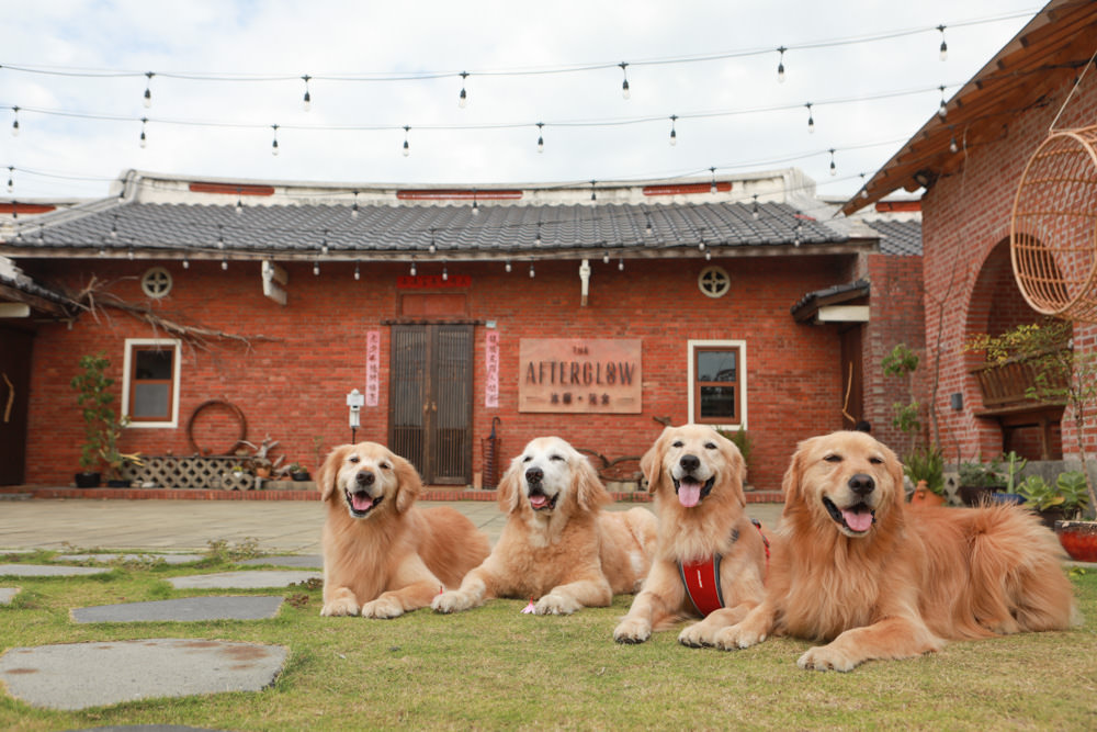 苗栗苑裡美食｜沐暉苑食The Afterglow。寵物友善餐廳、創意西式私廚料理、三合院老宅餐廳