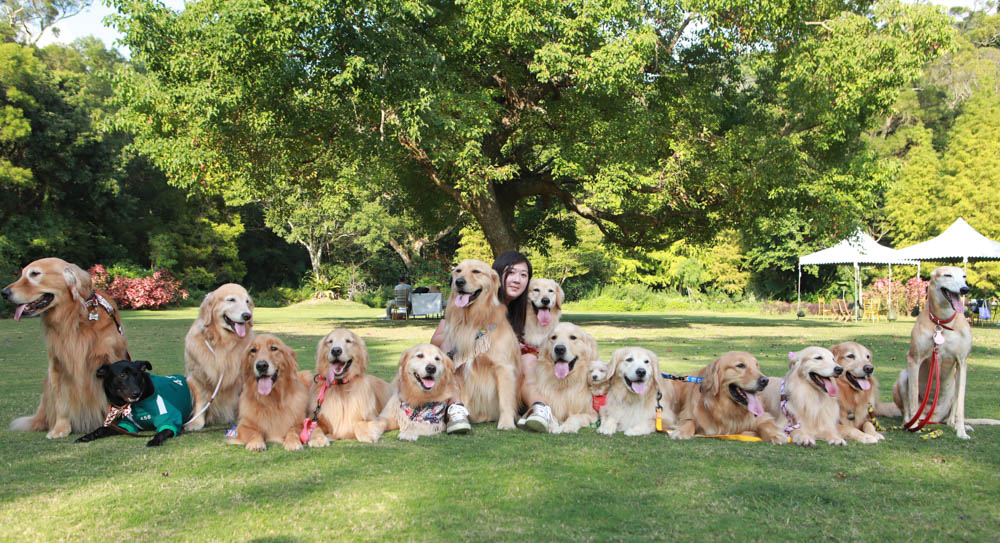 寵物保險推薦｜易安網旺旺友聯寵物險，寵物醫療高保障一年理賠12萬