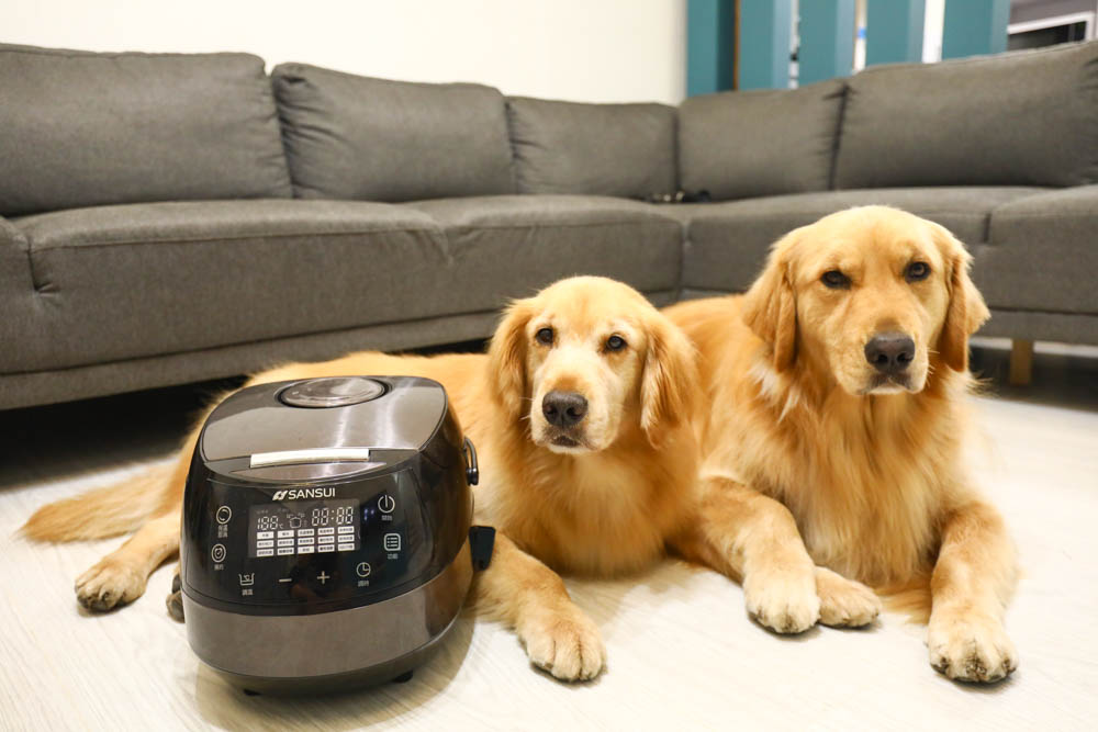 SANSUI山水智能萬用鍋SRC-H58，完勝電子鍋！開蓋熱炒煎烤、舒肥料理、高溫燉煮、蒸煮熬煮、麵糰發酵