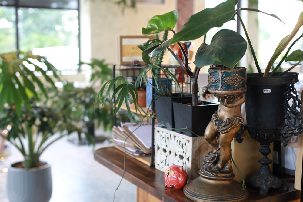 礁溪美食｜萬記商行The One’s Shop咖啡廳。寵物友善餐廳、隱身國道5號旁稻田原野中的景觀咖啡廳