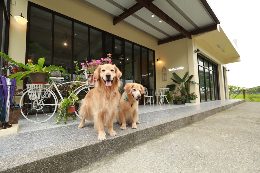 礁溪美食｜萬記商行The One’s Shop咖啡廳。寵物友善餐廳、隱身國道5號旁稻田原野中的景觀咖啡廳