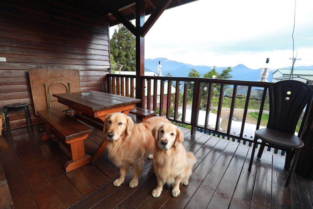 南投清境民宿推薦｜境星雲－藍天花園歐式景觀木屋、清境寵物友善民宿、博望新村入口處！