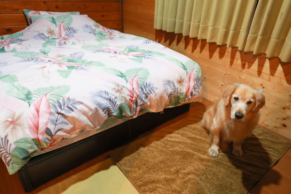 南投清境民宿推薦｜境星雲－藍天花園歐式景觀木屋、清境寵物友善民宿、博望新村入口處！