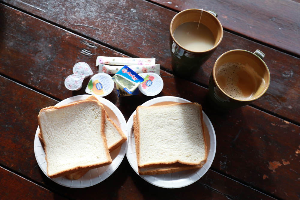 南投清境民宿推薦｜境星雲－藍天花園歐式景觀木屋、清境寵物友善民宿、博望新村入口處！