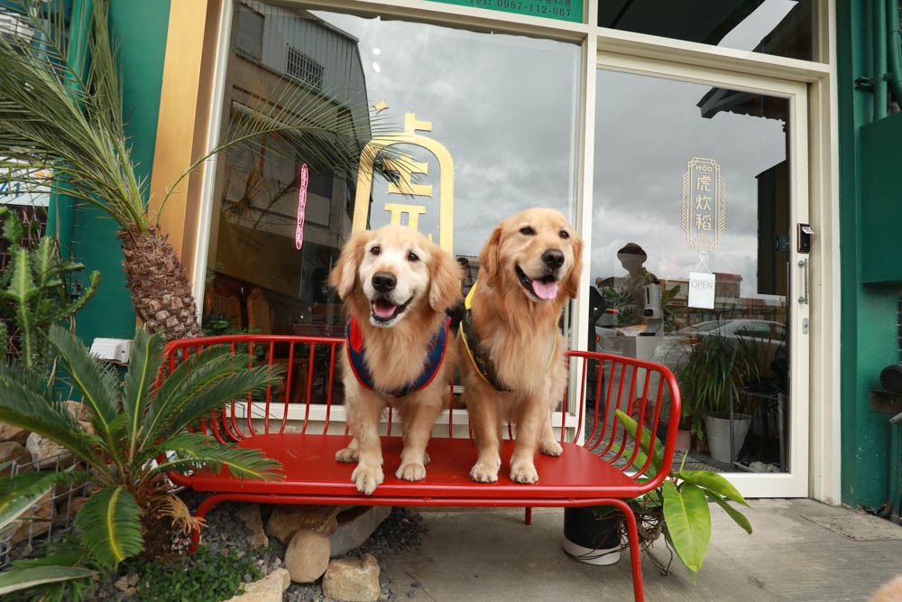 墾丁恆春美食｜虎炊稻Höo Triptown臺菜沙龍。寵物友善、充滿異國風情的中式料理、東坡肉必點！！