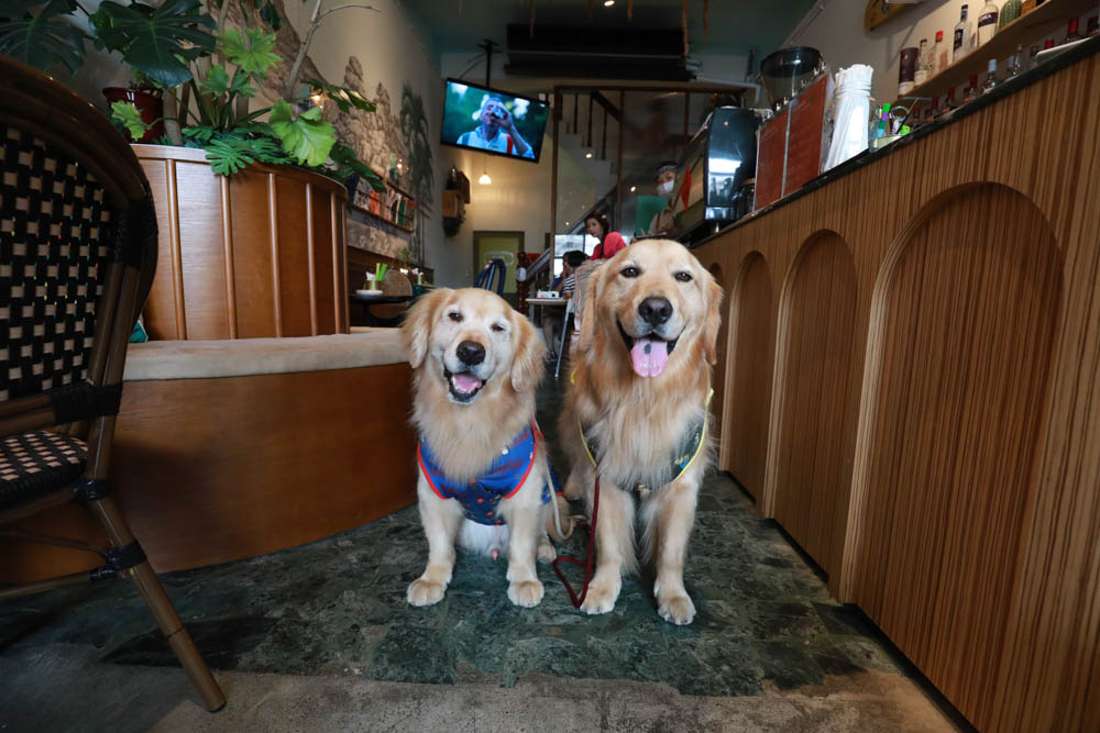 墾丁恆春美食｜虎炊稻Höo Triptown臺菜沙龍。寵物友善、充滿異國風情的中式料理、東坡肉必點！！