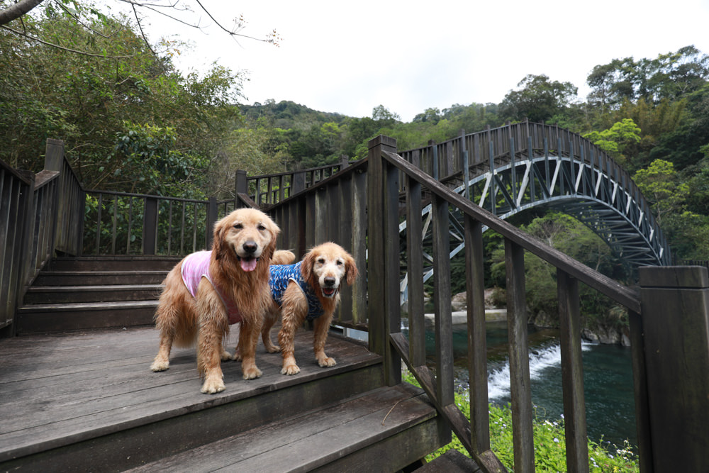 新北新店景點｜烏來福山蝴蝶公園生態步道。漫步森林古圳步道、大羅蘭溪美景、寵物友善景點
